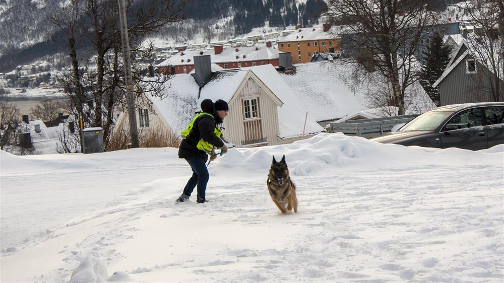 Ambulansefaglærer Bjørn Einar Helland slipper redningshund løs i snøen etter å ha gitt klarsignal. - Klikk for stort bilde
